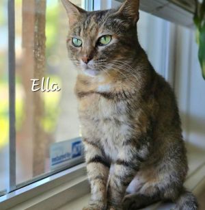 SHE CAN BE YOUR SOULMATE DOB 71323 Ella is a sweet soul with a philosophers heart This beautiful
