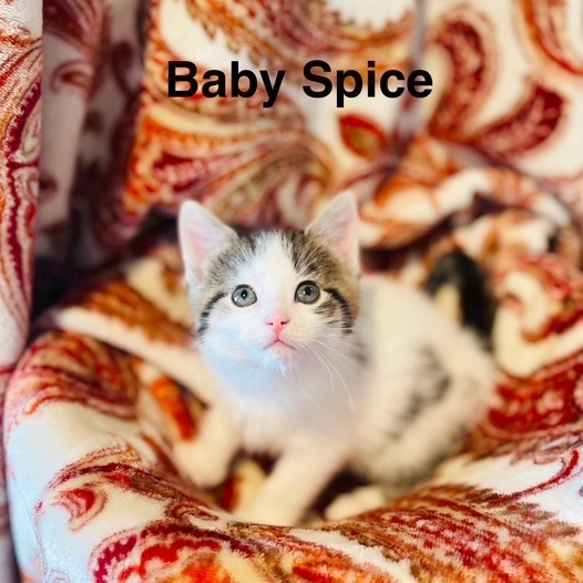 Baby Spice