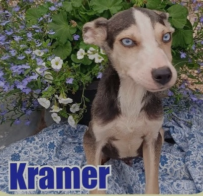 Cramer