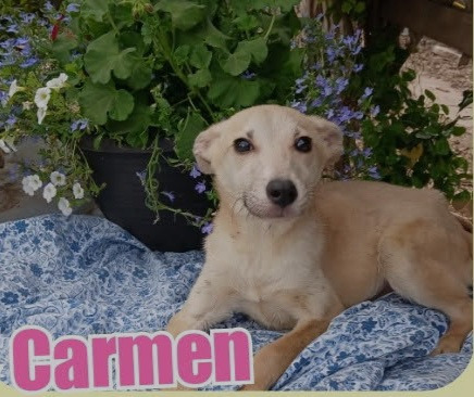 Carmen