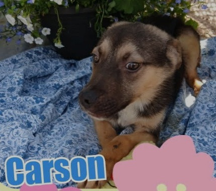 Carson