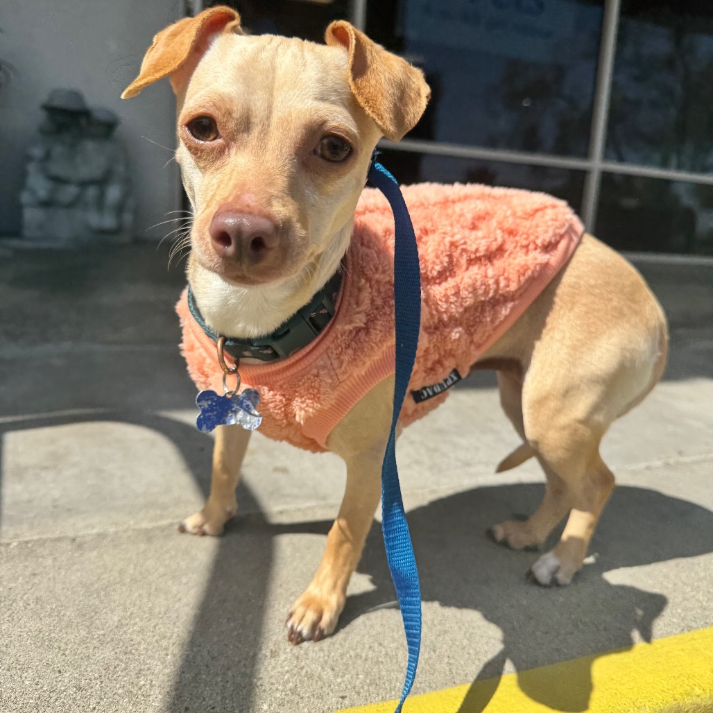 Miss Lippenrieder(831) - Claremont Location