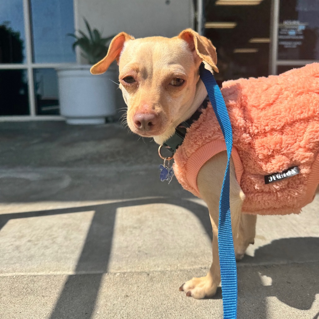 Miss Lippenrieder(831) - Claremont Location