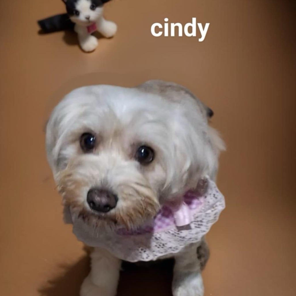 Cindy