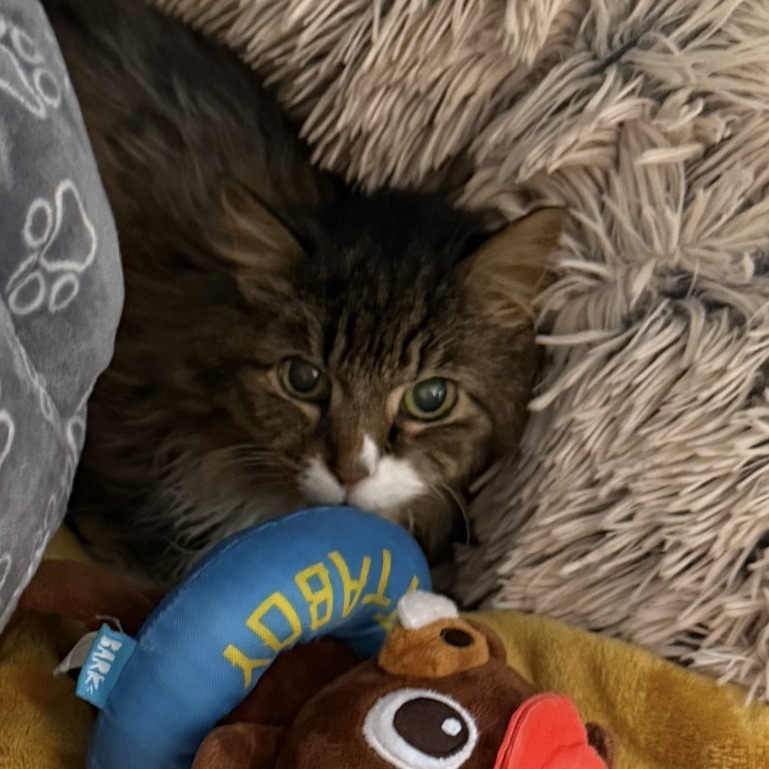 Tuna