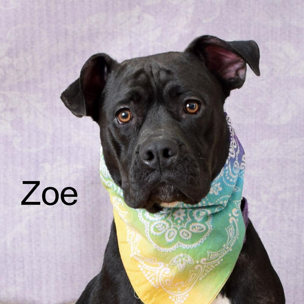 Zoe