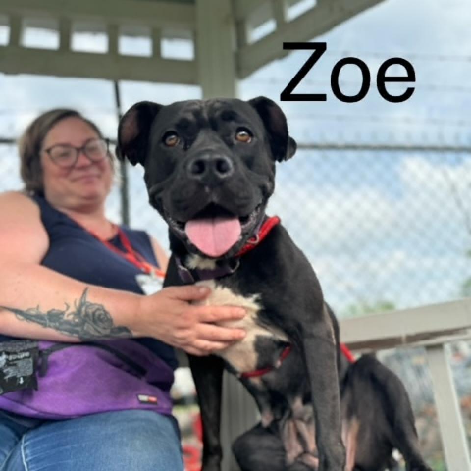 Zoe
