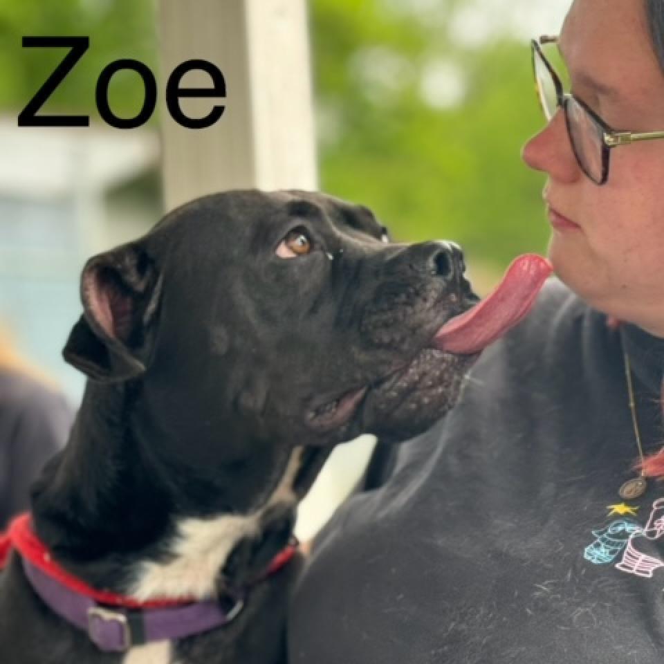 Zoe