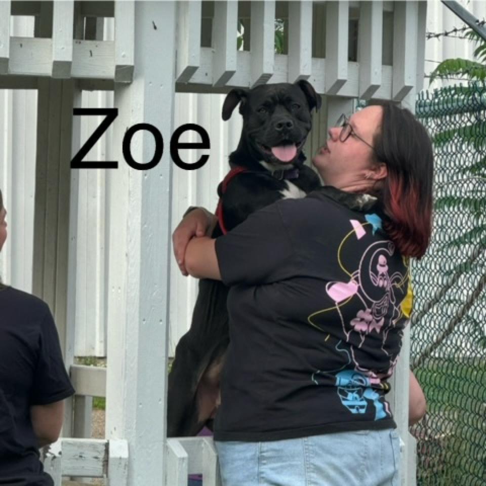 Zoe