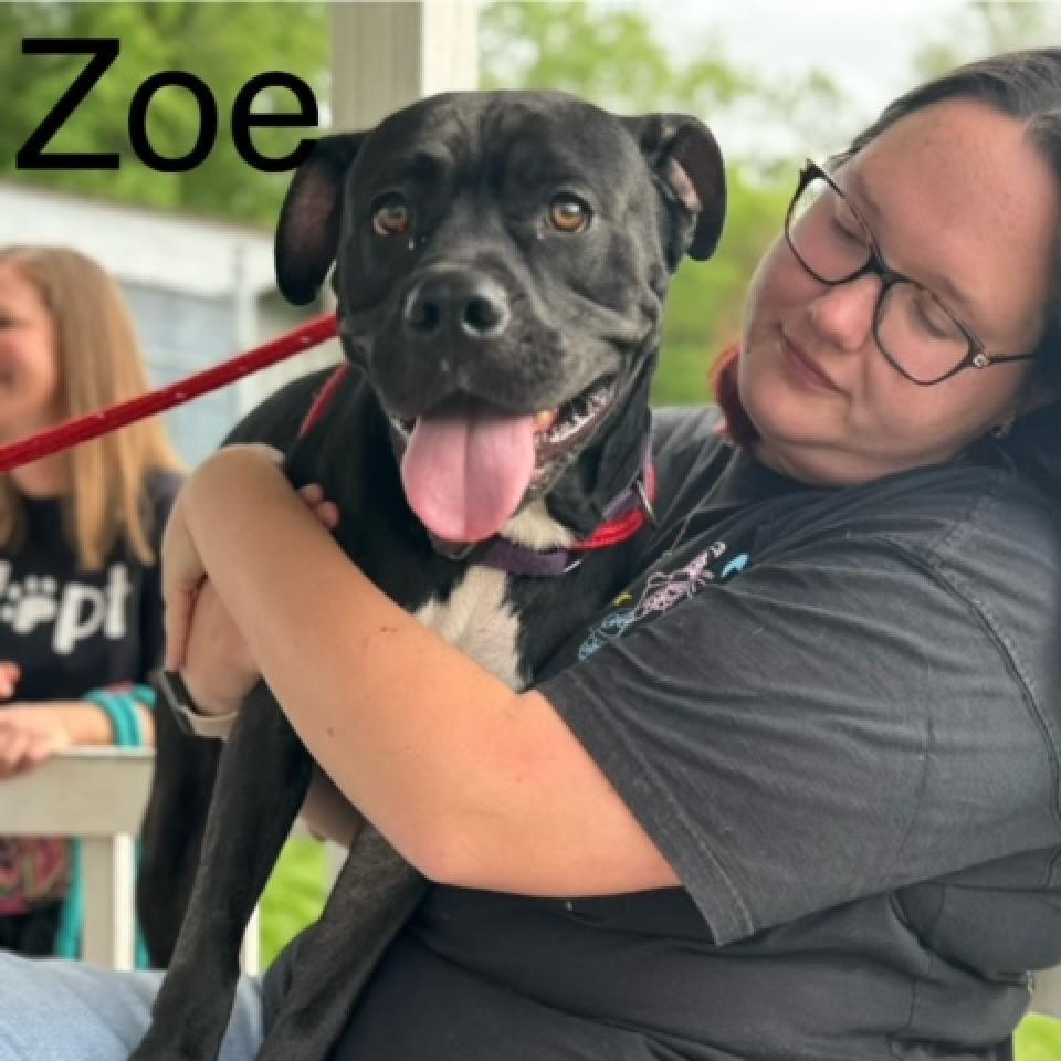 Zoe