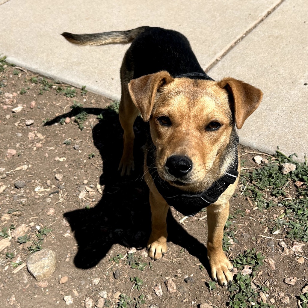 Princess - Loves People & Treats