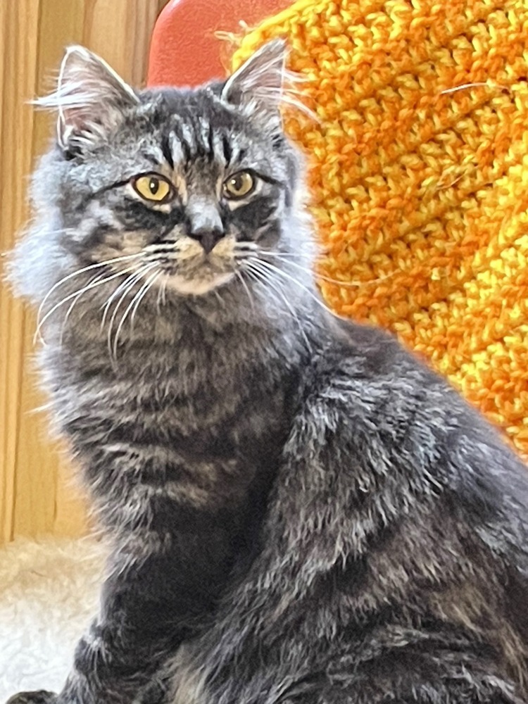 Odin