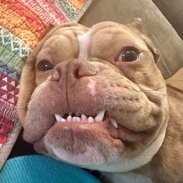 Smooshie