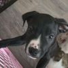 Chance photo 2