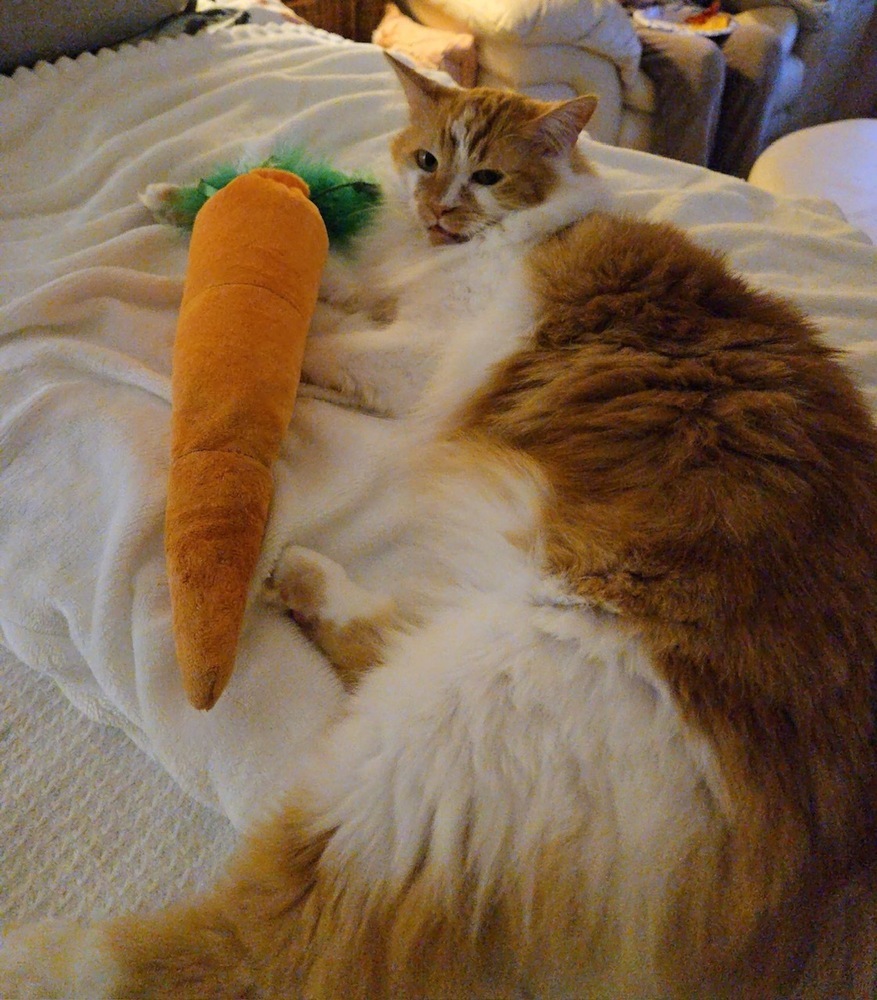 Kricket