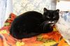 Ms. Frizzle photo 3