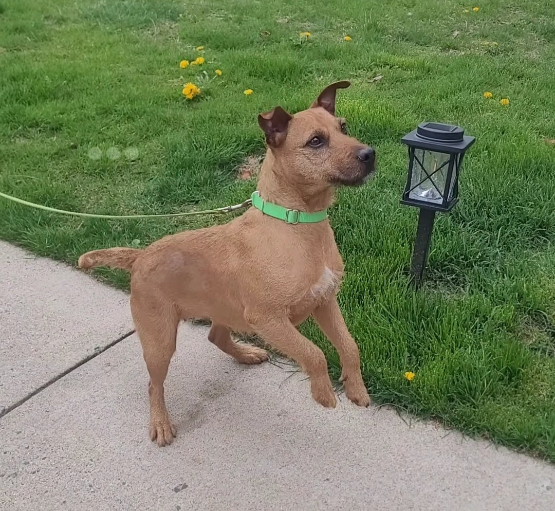 Ruby
