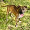 Skeeter photo 1