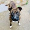 Skeeter photo 5