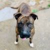 Skeeter photo 6