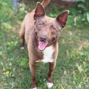 Lonnie, Senior Male unknown