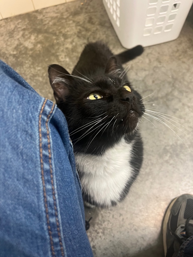 Duncan