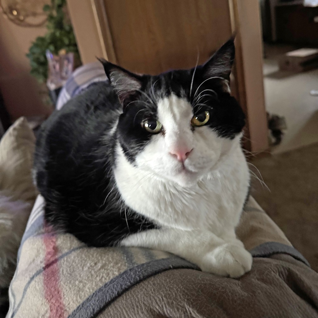 Jack