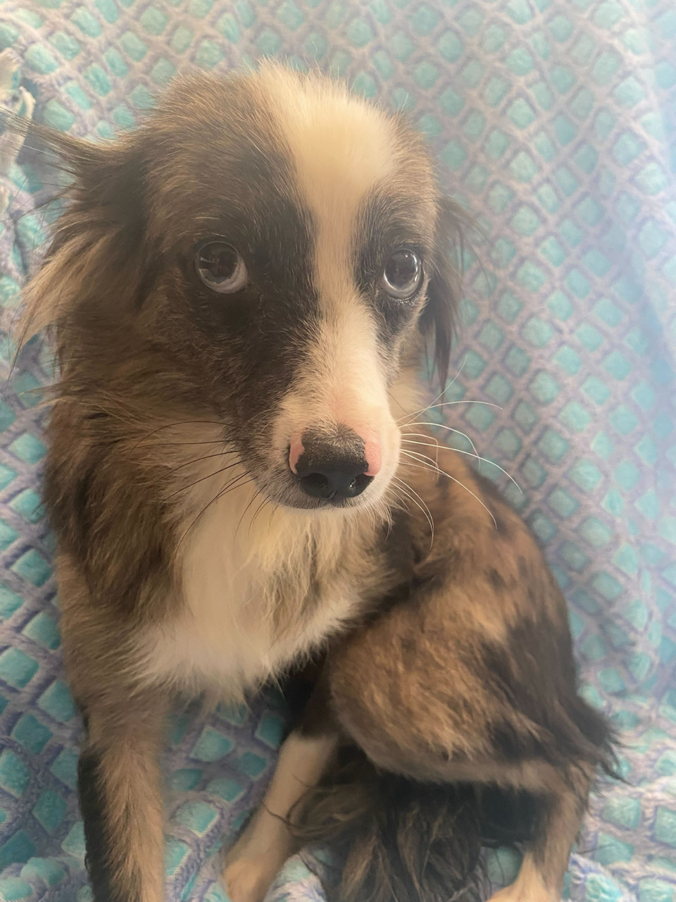 Evie Jan 25