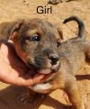 Greta photo 2