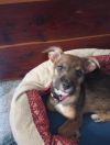 Greta photo 5