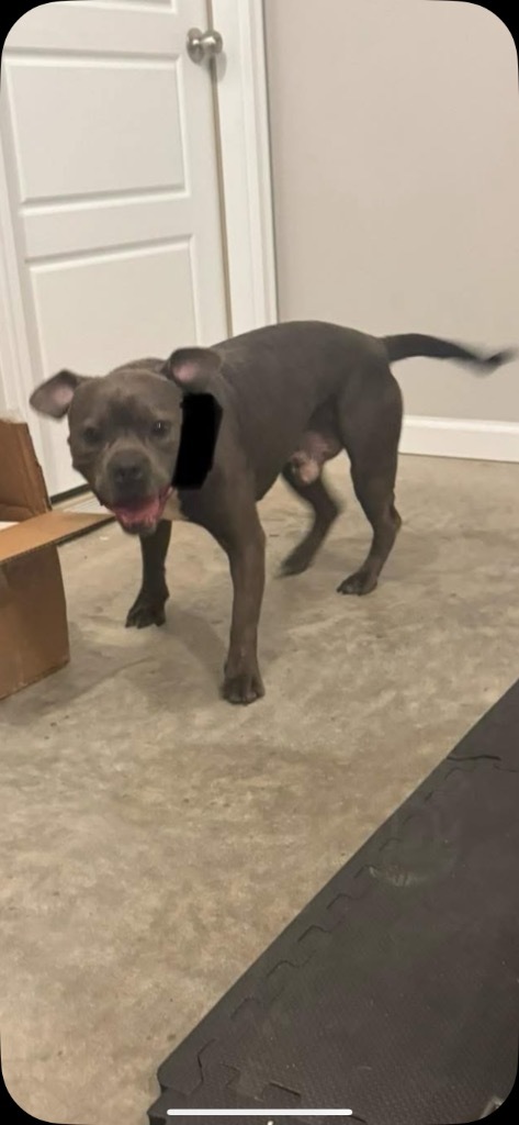 Astro