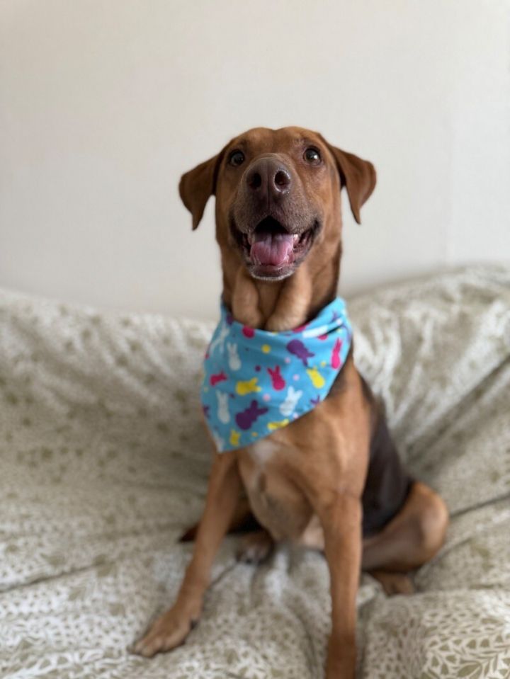 Princess Purdy The Perfect Girl For Retired Person 4