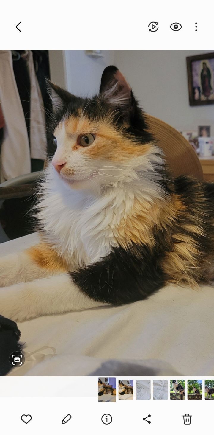 Mona Lisa 3