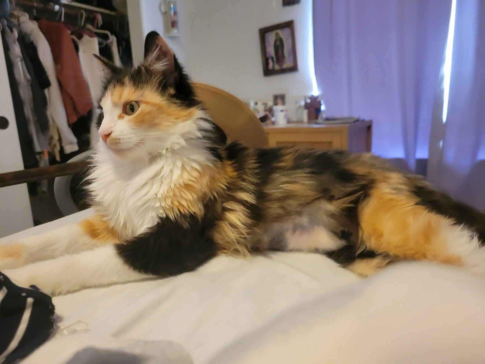Mona Lisa