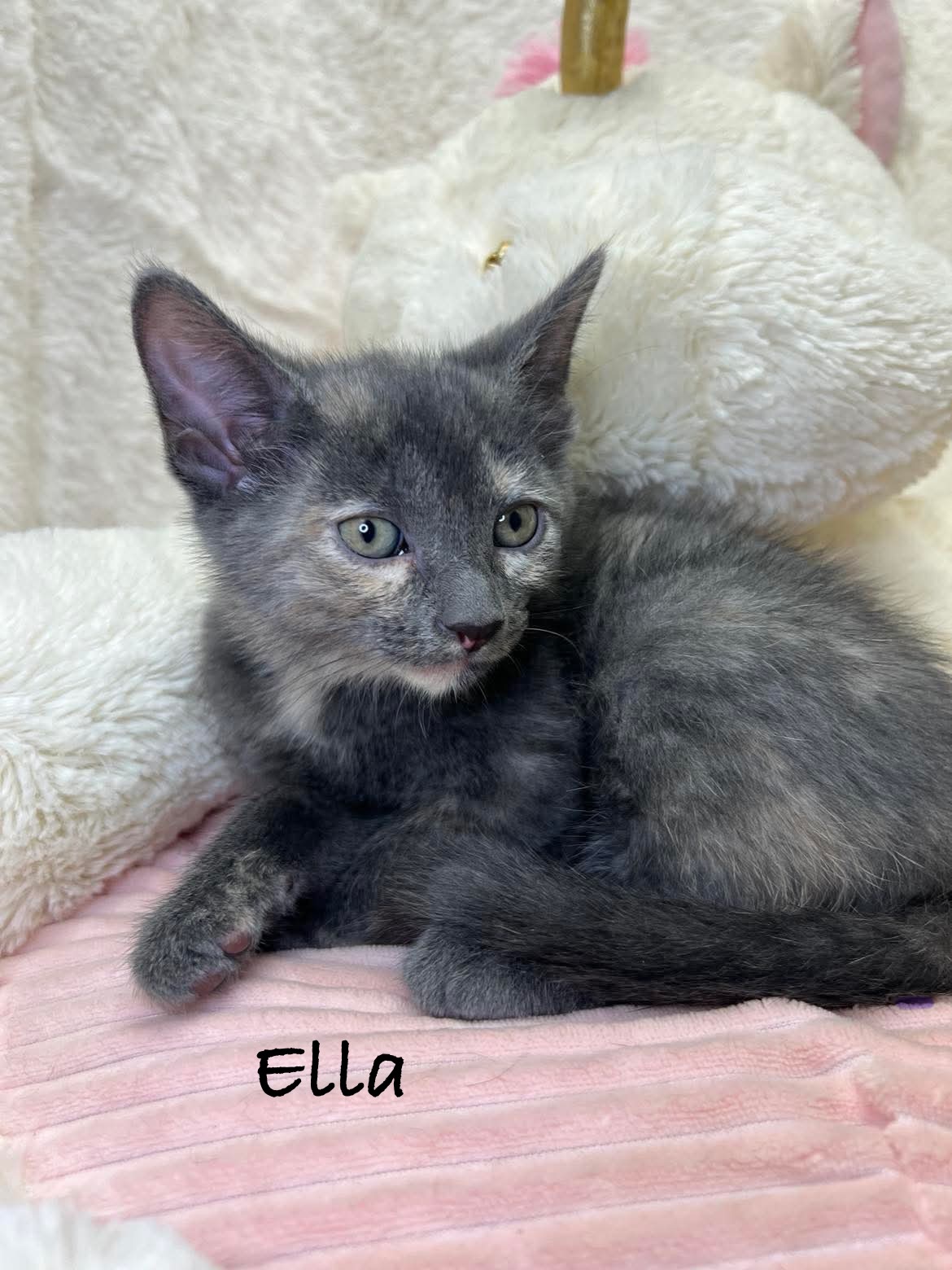 Ella