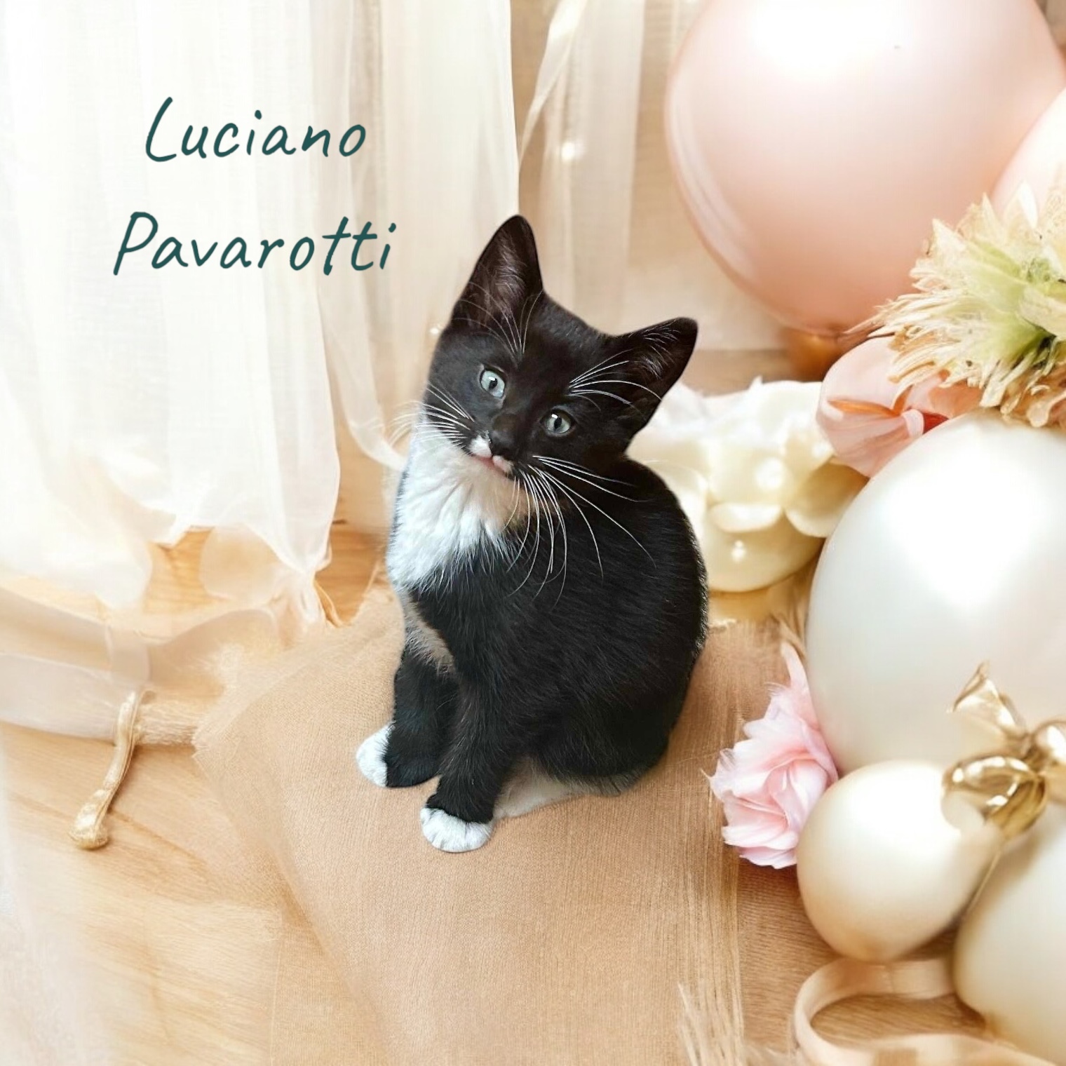 Luciano Pavarotti