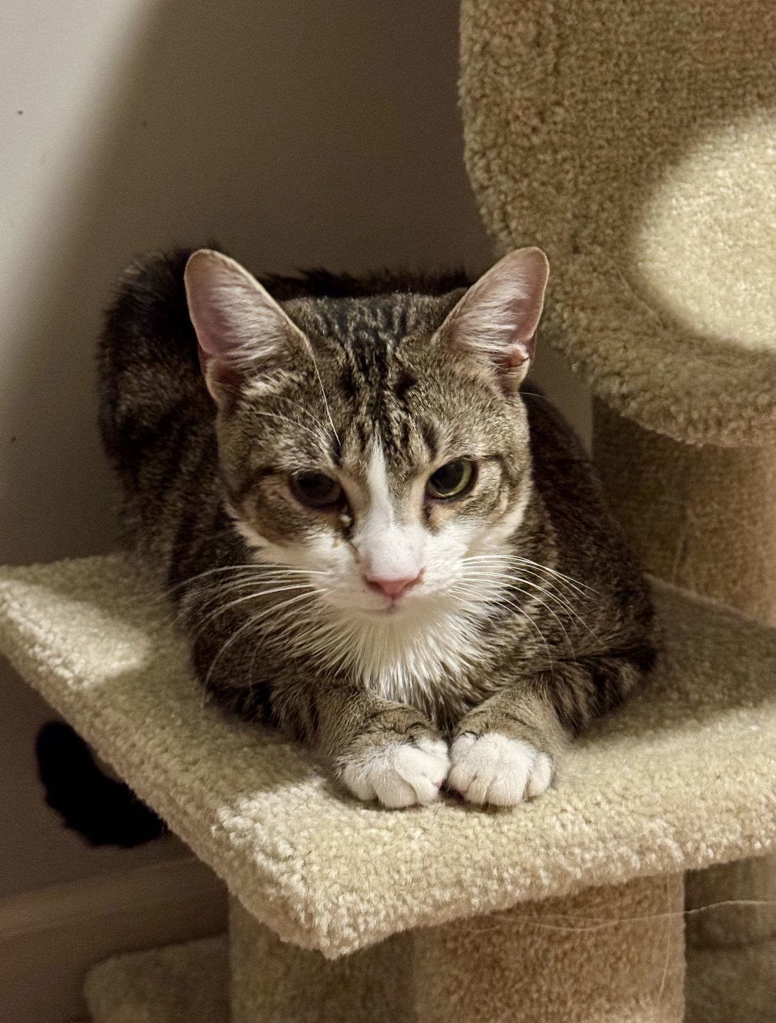 Tom