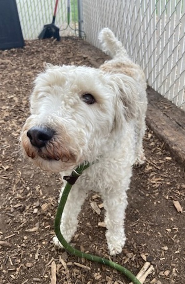 Jett-Call 402-441-4490 To Meet Me!