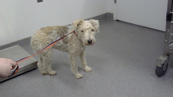 Jett-Call 402-441-4490 To Meet Me!