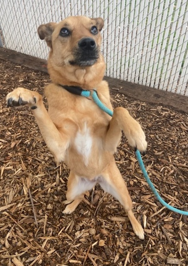 Kobe-Call 402-441-4490 To Meet Me!