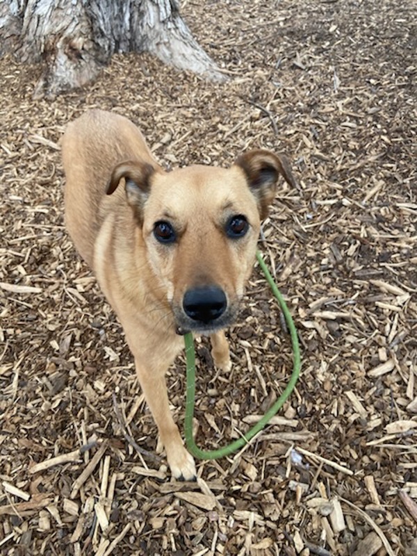 Kobe-Call 402-441-4490 To Meet Me!