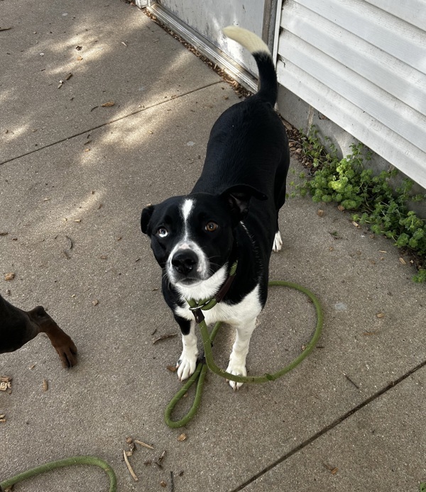 Evie-Call 402-441-4490 To Meet Me!