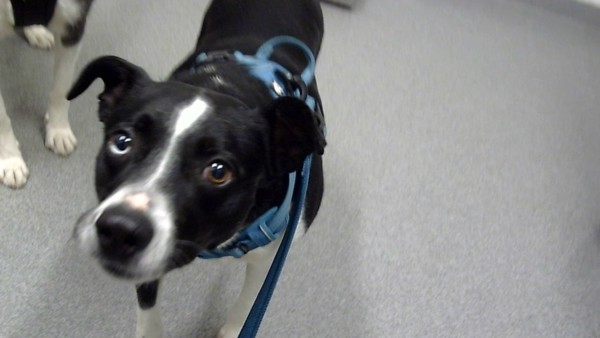 Evie-Call 402-441-4490 To Meet Me!