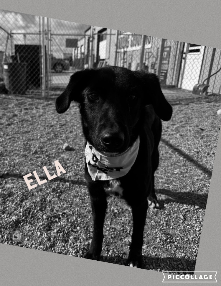 Ella