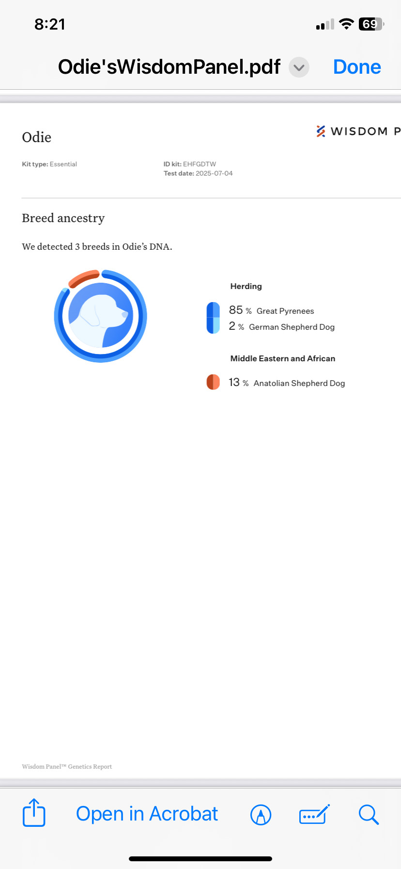 ODIE, an adoptable Akbash, Great Pyrenees in Peyton, CO, 80831 | Photo Image 3