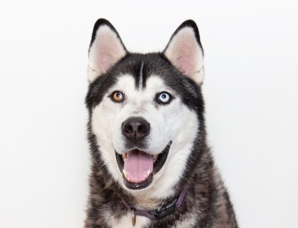 Odin