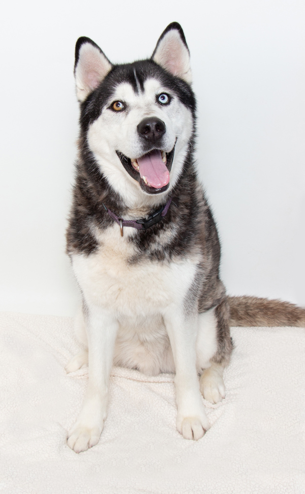 Odin