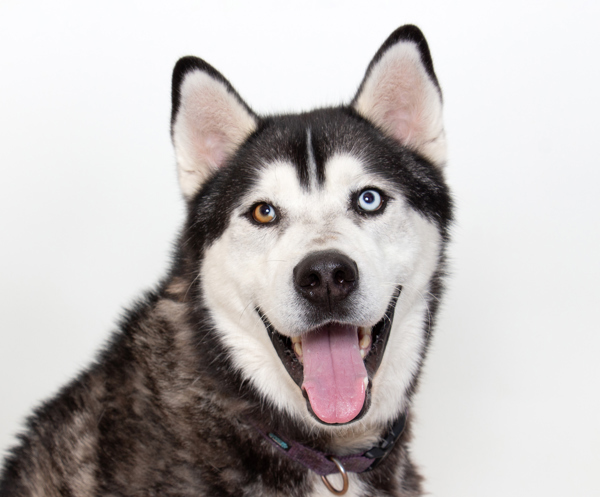 Odin