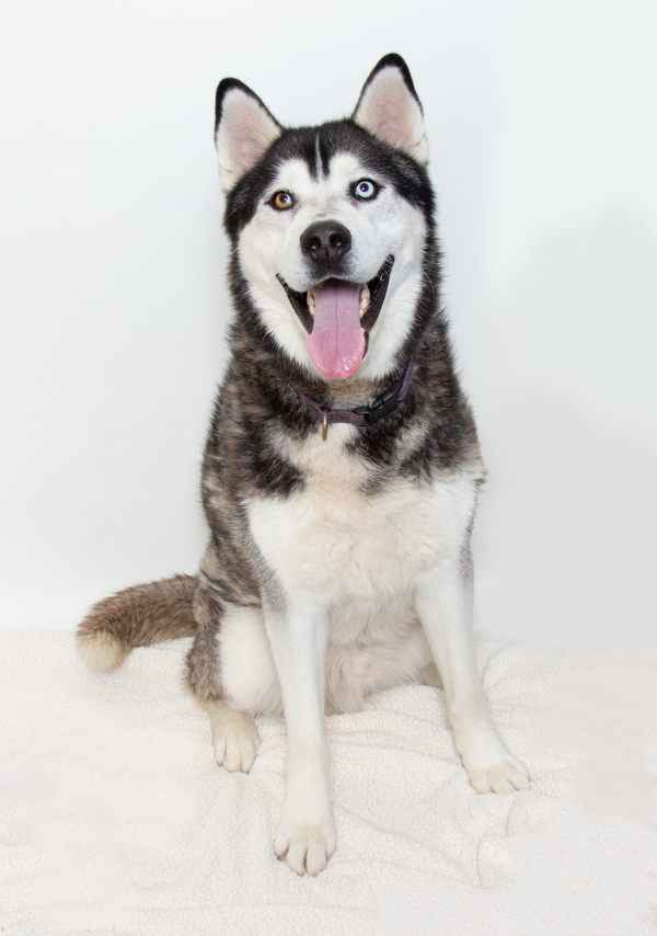 Odin
