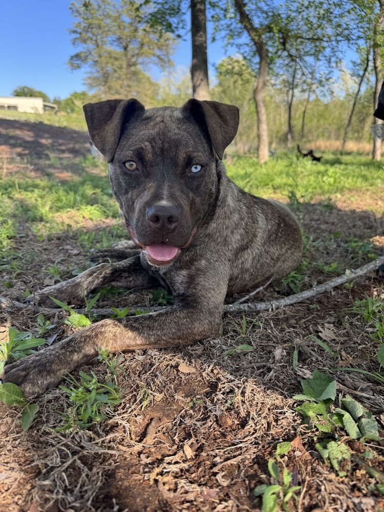 Coco